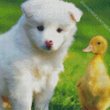 Samoyed Puppy With Duck Diamond Painting