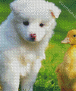 Samoyed Puppy With Duck Diamond Painting