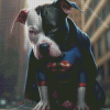 Black And White Superman Dog Diamond Painting