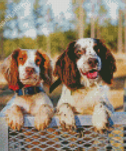 Two Spaniels Diamond Painting