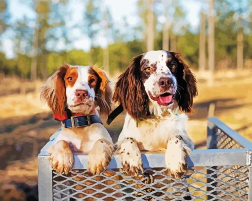 Two Spaniels Diamond Painting