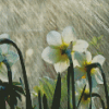 White Flowers In Rainy Spring Day Diamond Painting