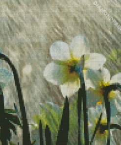 White Flowers In Rainy Spring Day Diamond Painting