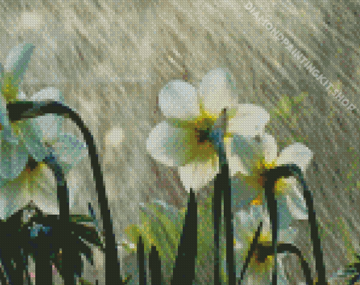 White Flowers In Rainy Spring Day Diamond Painting