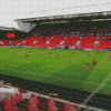 Ashton Gate Football Stadium Diamond Painting