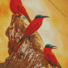 Southern Carmine Bee Eater Birds Diamond Painting