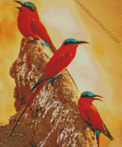 Southern Carmine Bee Eater Birds Diamond Painting