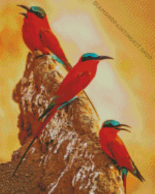 Southern Carmine Bee Eater Birds Diamond Painting