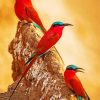 Southern Carmine Bee Eater Birds Diamond Painting