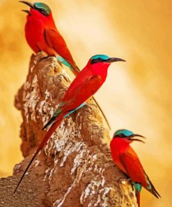 Southern Carmine Bee Eater Birds Diamond Painting