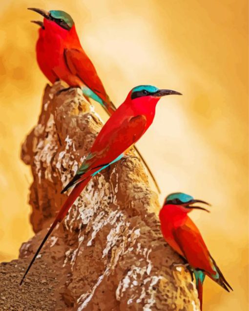 Southern Carmine Bee Eater Birds Diamond Painting