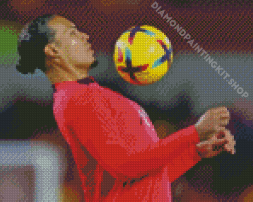 Football Player Virgil Van Dijk Diamond Painting