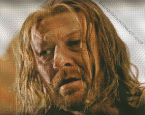 Ned Stark Face Diamond Painting