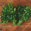 Parsley Diamond Painting