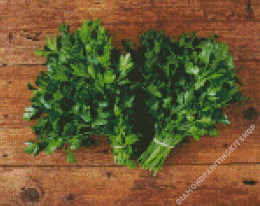 Parsley Diamond Painting