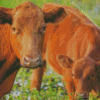 Red Angus Cow And Calf Diamond Painting