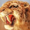 Saber Toothed Cat Head Diamond Painting