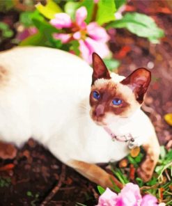 Siamese Oriental Cat With Pink Flowers Diamond Painting