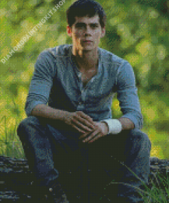 The Maze Runner Diamond Painting