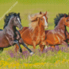 Wild Mustangs Diamond Painting