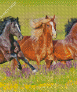 Wild Mustangs Diamond Painting