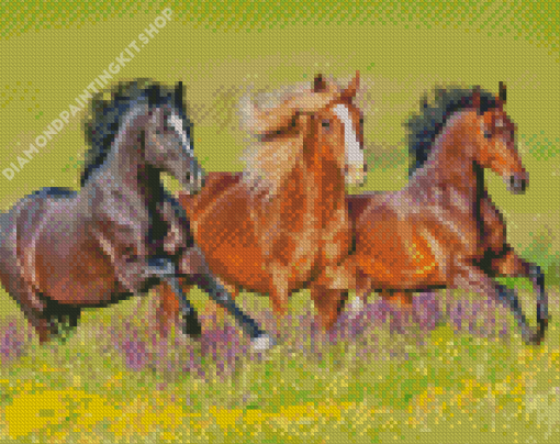 Wild Mustangs Diamond Painting