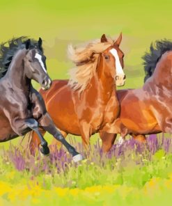 Wild Mustangs Diamond Painting