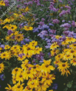 Yellow And Purple Flowers Diamond Painting