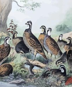 Bevy Of Quails Diamond Painting