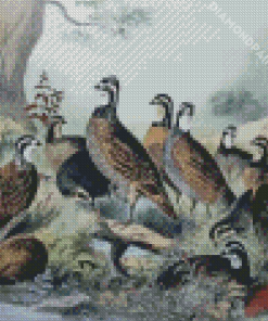 Bevy Of Quails Diamond Painting