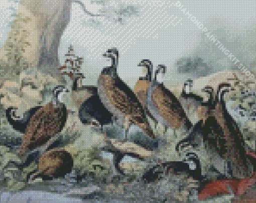 Bevy Of Quails Diamond Painting