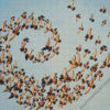 Birds Flock Diamond Painting