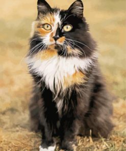 Black And Ginger And White Cat Animal Diamond Painting