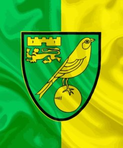 Norwich City Fc Flag Diamond Painting