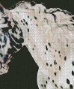 Appaloosa Horse Diamond Painting