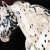 Appaloosa Horse Diamond Painting