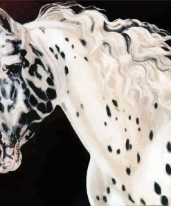 Appaloosa Horse Diamond Painting