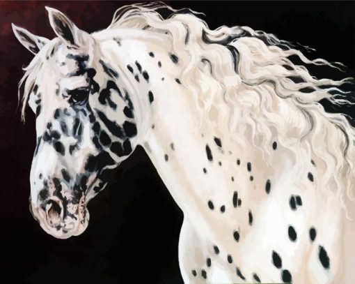 Appaloosa Horse Diamond Painting