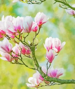 Blooming Magnolia Flower Diamond Painting