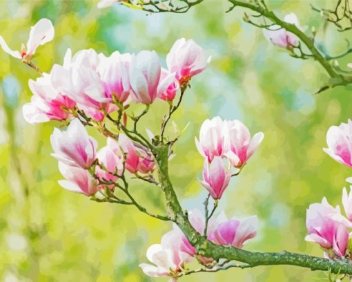 Blooming Magnolia Flower Diamond Painting