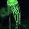 Neon Green Jellyfish Diamond Painting