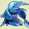 Blue Betta Fish diamond painting