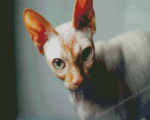 Green Eyed Sphynx Cat Diamond Painting