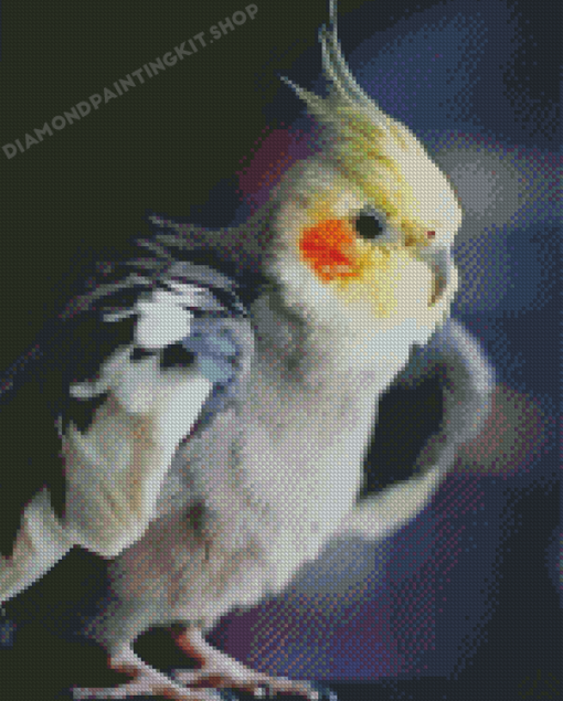 Cockatiel Bird Diamond Painting