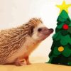 Christmas Tree And Hedgehog Diamond Painting