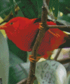 Hai Liwi Kauai Hawaii Red Bird Diamond Painting