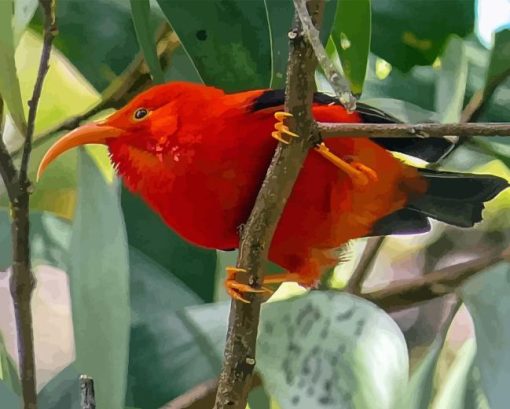 Hai Liwi Kauai Hawaii Red Bird Diamond Painting