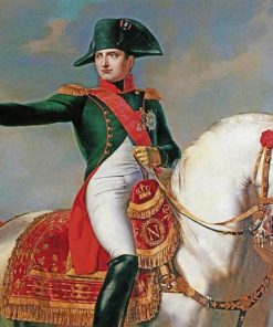 Portrait Of Napoleon Bonapart Diamond Painting