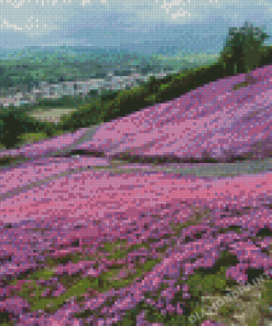 Purple Flowers Field Hokkaido Diamond Painting