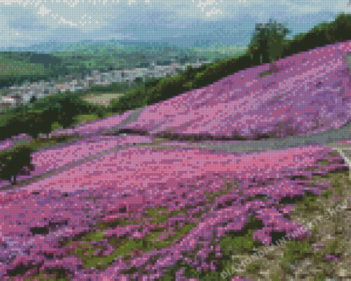 Purple Flowers Field Hokkaido Diamond Painting